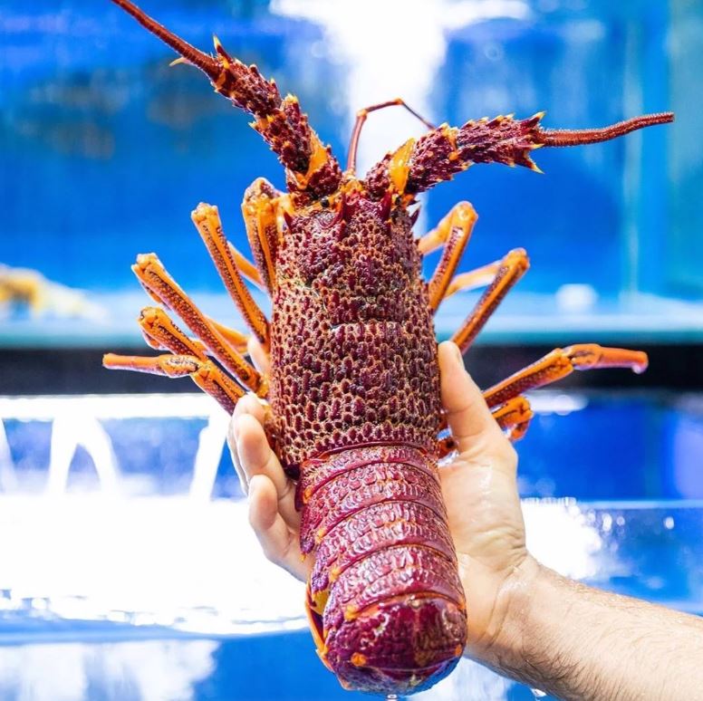 Fresh Seafood Delivery Services in Singapore