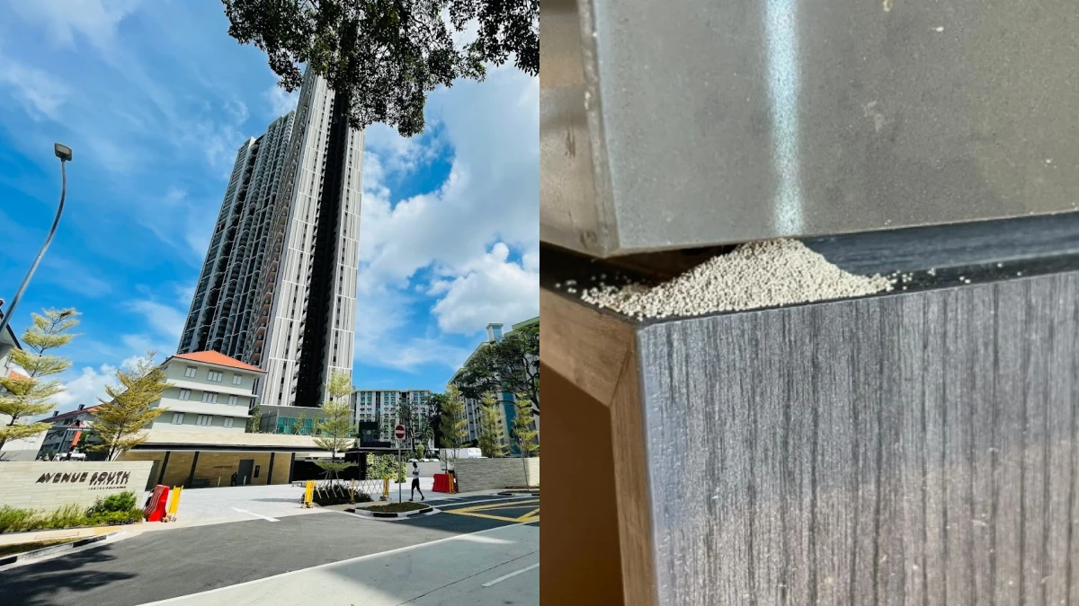 Avenue south condo issue