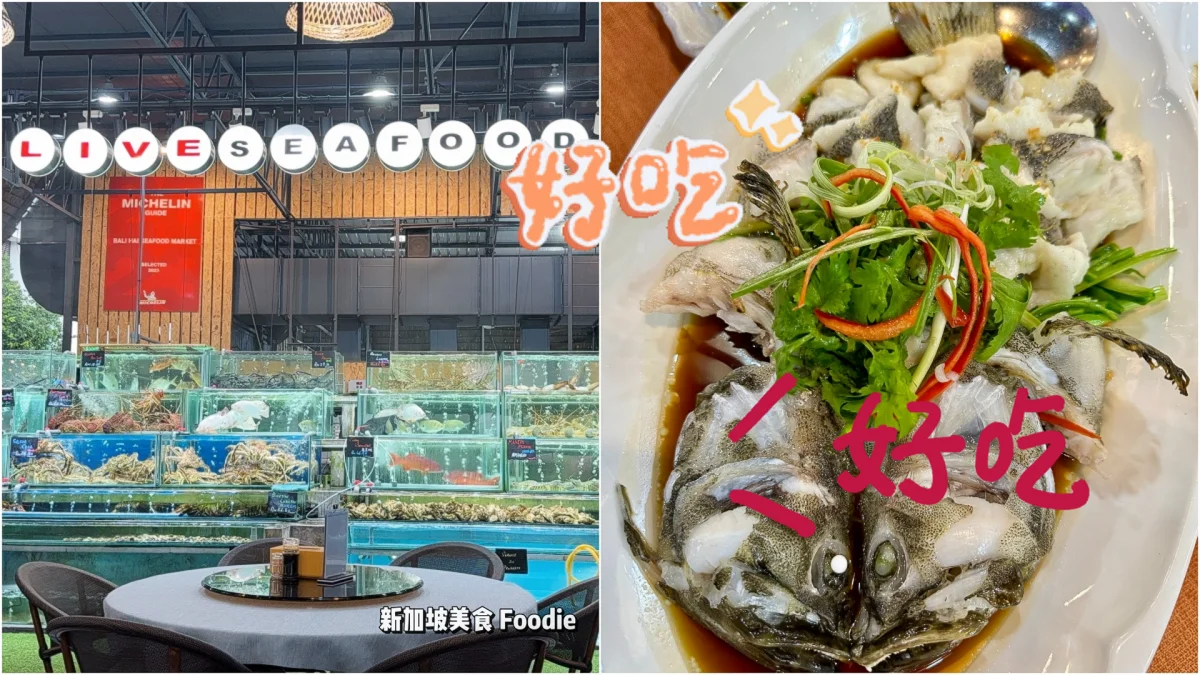 Gurney Bali Hai Seafood must visit place