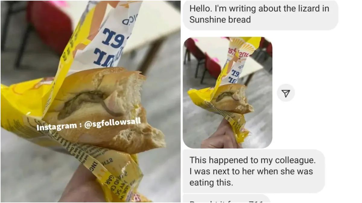 Lizard bread