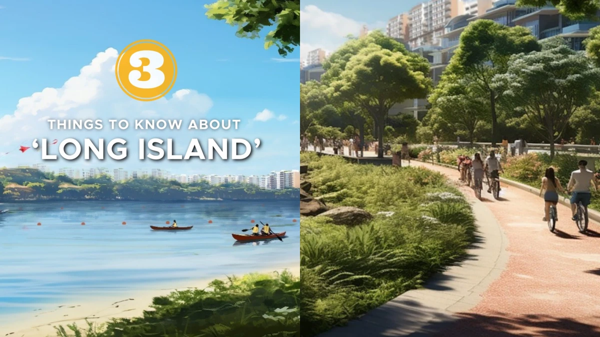 Singapore long island project