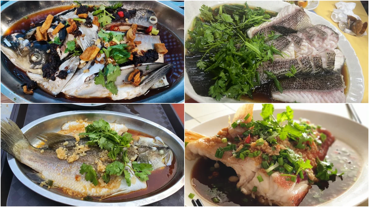 Best steam fish in Singapore