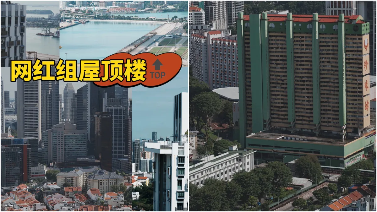 Pinnacle Duxton HDB view